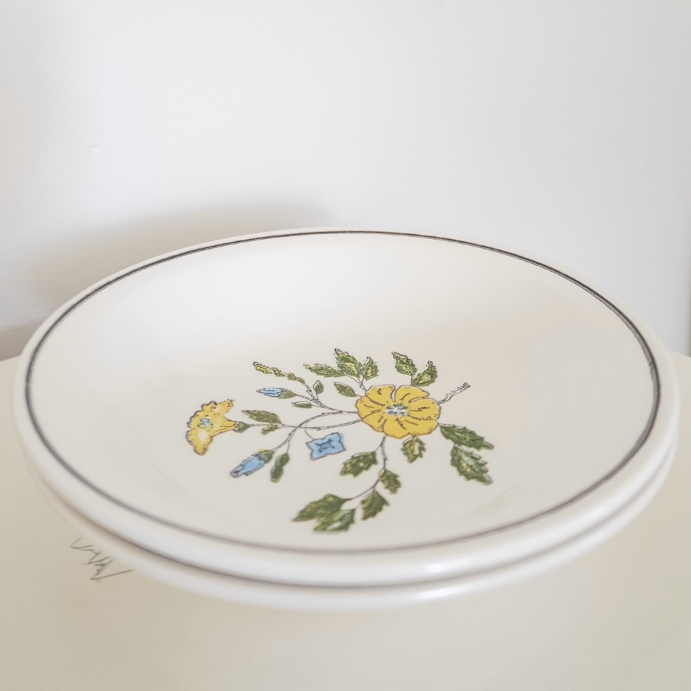 Set of 2 Floral Patterned Ceramic Plates